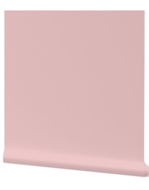 Pastel Easter French Pink Solid Coordinate Color Wallpaper