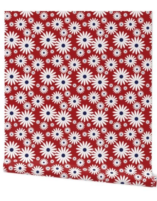 Jumbo Daisies USA Red Wallpaper