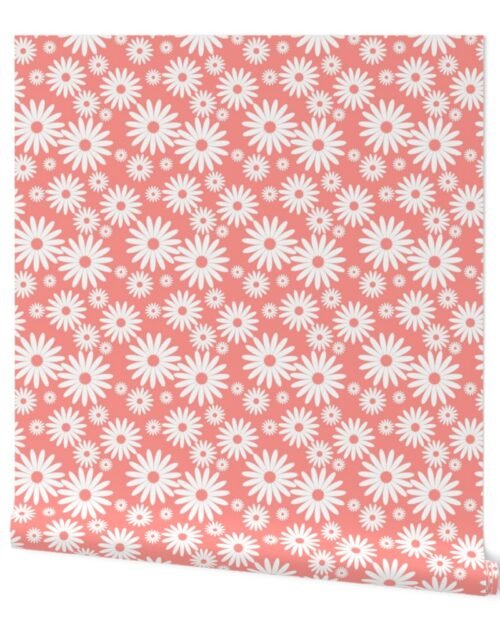 Mini Daisies in Coral and White Wallpaper