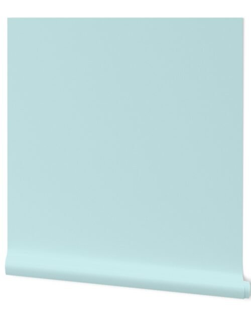 Classic duck egg blue aqua blue Wallpaper