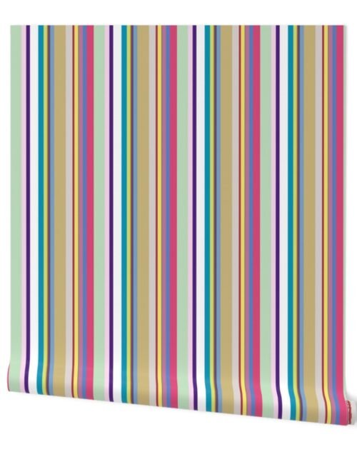 Multicolore Louis Frenchie Coordinate Candy Stripes Print Wallpaper