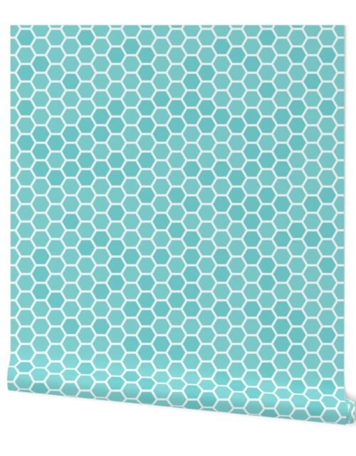 Large Aqua Blue Honeycomb Bee Hive Geometric Hexagonal Design Wallpaper