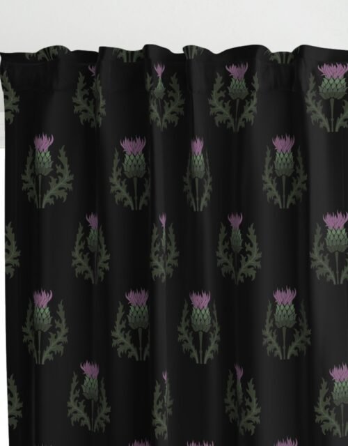 Large Scottish Thistle Flower of Scotland on Black Curtains