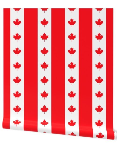 Canadian Flag Colors Red, White and Maple Leaves Jumbo 6 Inch Vertical Stripes Wallpaper