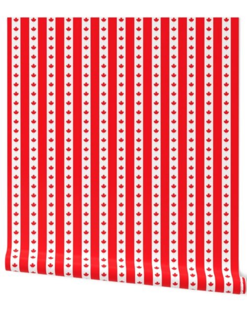 Canadian Flag Colors Red, White and Maple Leaves 1 Inch Vertical Stripes Wallpaper