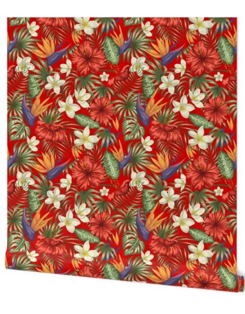 Ruby Red Hawaiian Tropical Rainforest Birds Plumeria Wallpaper