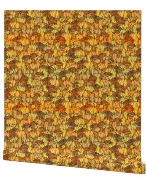 Small Pumpkin Patch Repeat in Autumnal Tones of Orange Wallpaper