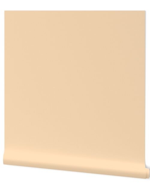 Solid Coordinate Pastel Peachy Orange Color Wallpaper