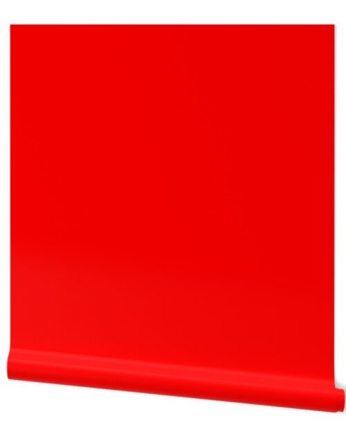 Florida Red Official State Solid Color Wallpaper