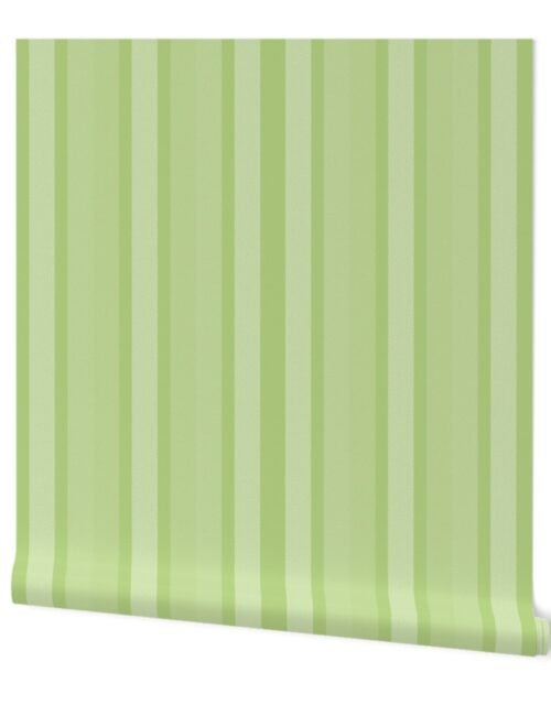 Large Honeydew Shades Modern Interior Design Stripe Wallpaper