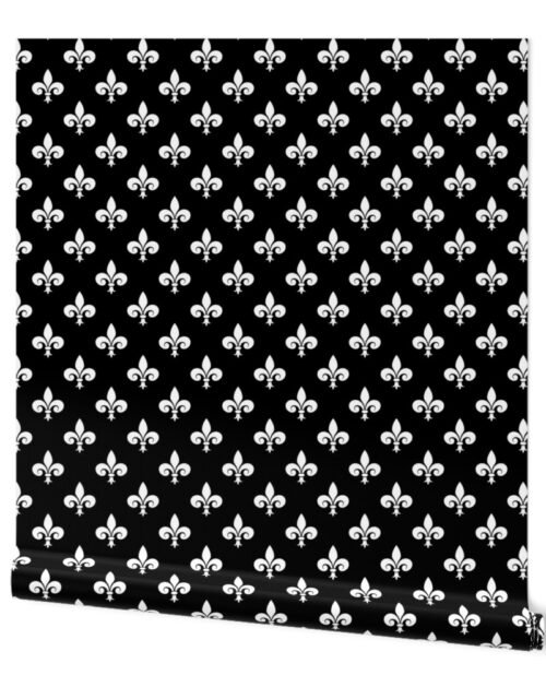 White French Fleur de Lis on Black Wallpaper