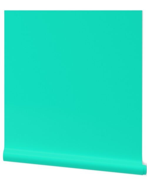 SOLID AQUA  #13eac9 HTML HEX Colors Wallpaper