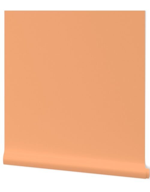 SOLID PEACH #ffb07c HTML HEX Colors Wallpaper