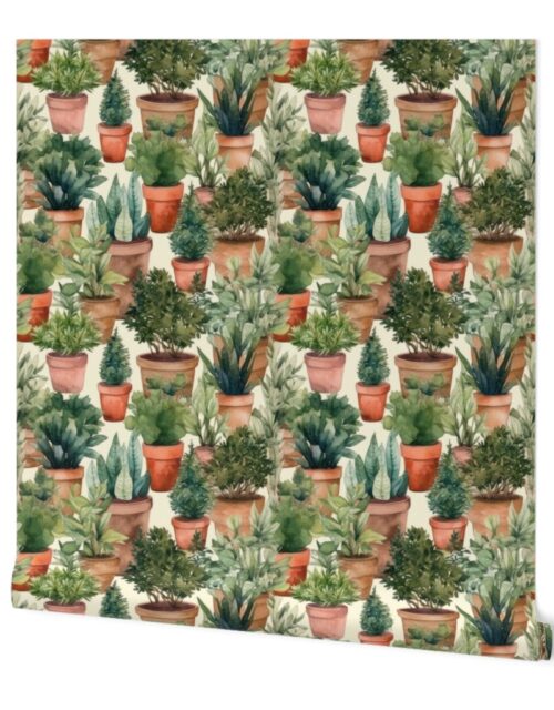 Potted Fir and Evergreen Tree Plants Watercolor Wallpaper