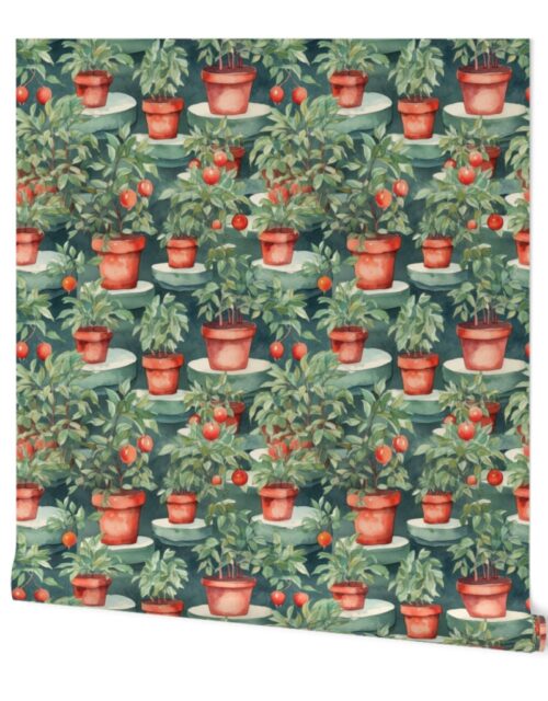 Potted Tomato Plants Watercolor on Green Wallpaper