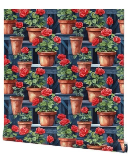 Potted Red Rose Plants Watercolor on Blue Shelves Wallpaper