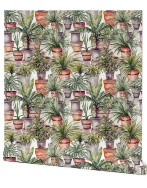 Potted Green  House Palms Watercolor Wallpaper