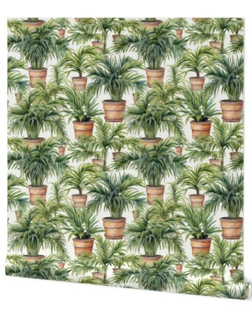 Potted Green  House Palms Watercolor Wallpaper