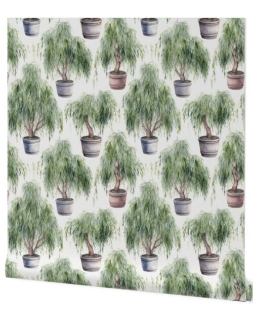 Potted Green  Baby Weeping Willow Tree Plants Watercolor Wallpaper