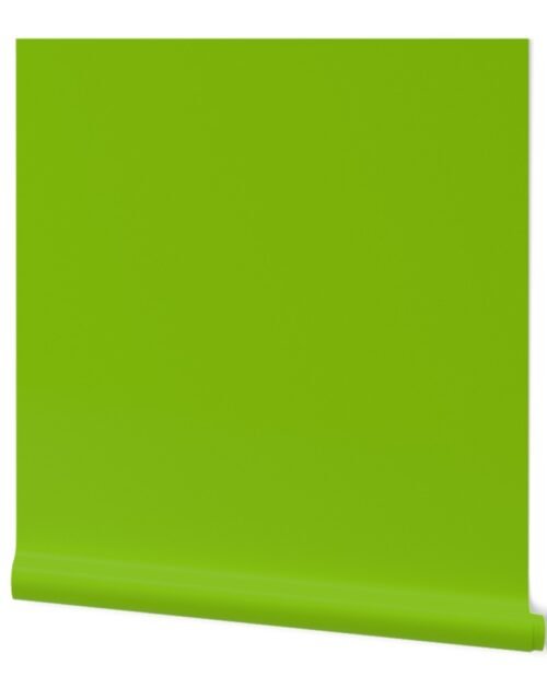 Green – Tomato Solid Color Palette Wallpaper