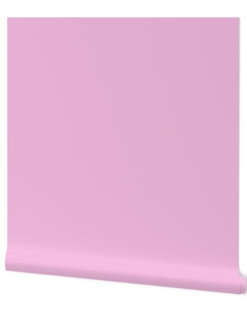 Candy Pink Breast Cancer Awareness Solid Color Trim Wallpaper