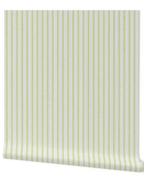 Medium  New Green on Off-White French Provincial Mattress Ticking Wallpaper