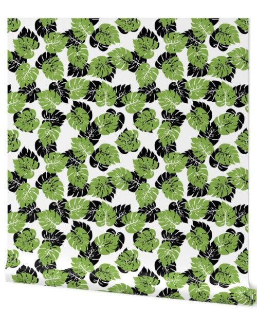 Monstera Big Leaf Greenery Green Wallpaper