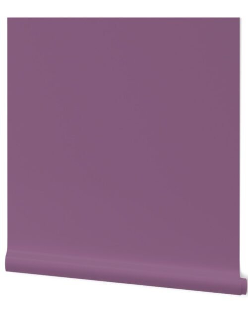 Purple Wisteria Solid Summer Party Color Wallpaper