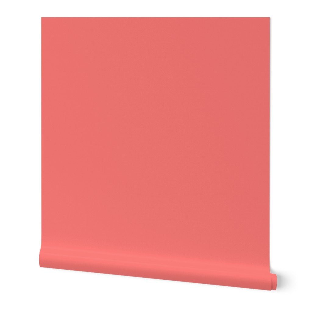 Coral Rose Solid Summer Party Color Wallpaper