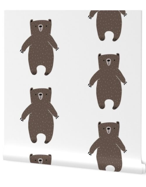 Brown Bear Cartoon with White Flecked Fur Wallpaper