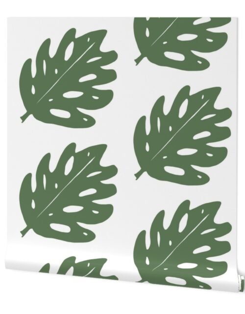 Huge Grey-Green Tropical Monstera Leaf Wallpaper