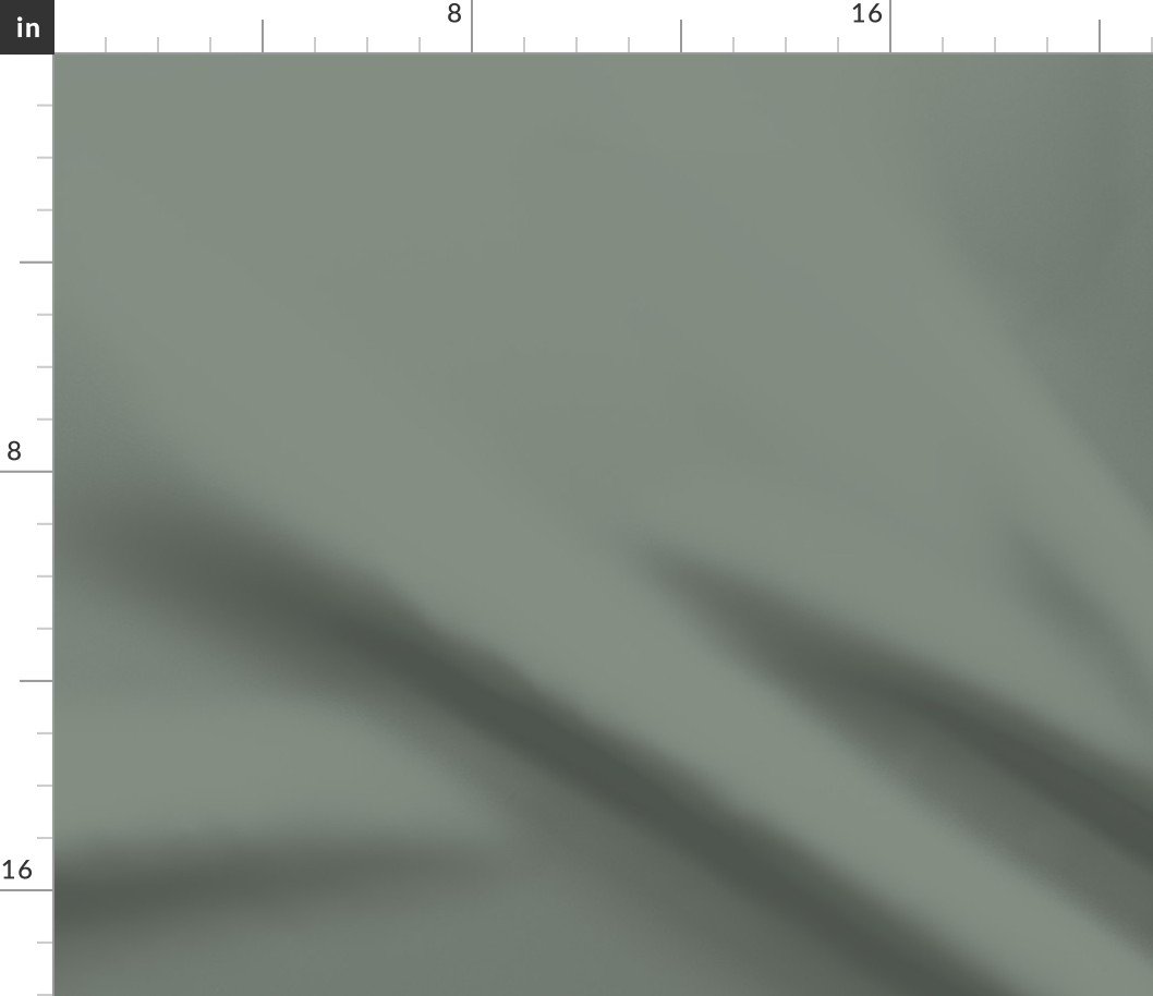 Sage Green Solid Trim Color French Provincial Spring Fabric